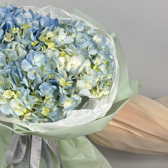 Монобукет №111, Гортензии голубые 3шт