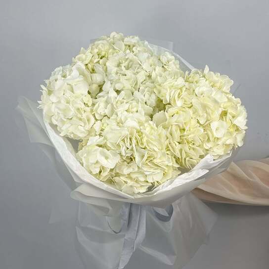 Монобукет №115, Гортензии белые 5шт