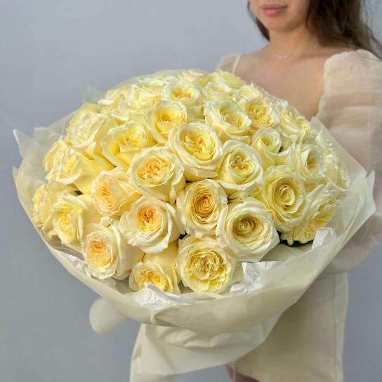 Монобукет №102, 51 пионовидная садовая Роза 55см, Эквадор