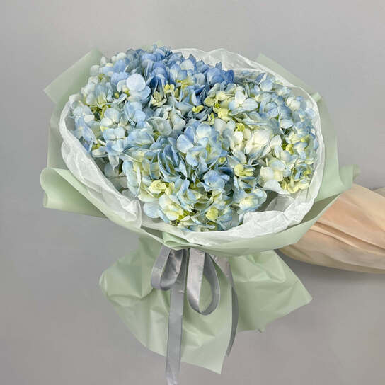 Монобукет №111, Гортензии голубые 3шт