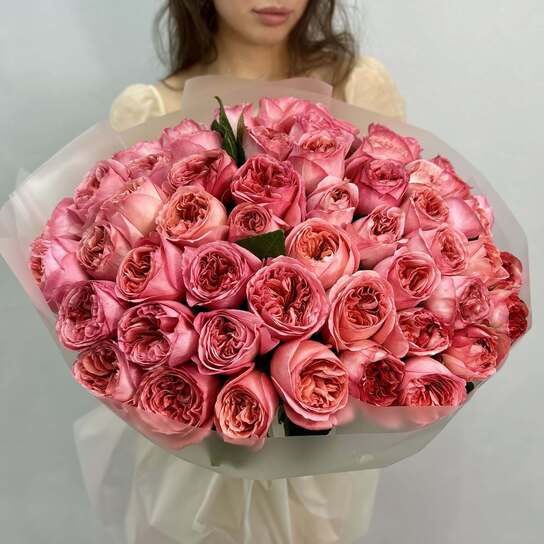 Монобукет №104, 51 пионовидная Роза Pink Expression 55см, Эквадор