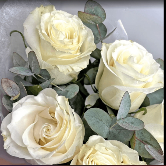 Монобукет №206 из 5 белых роз Эквадор с эвкалиптом Фото 3