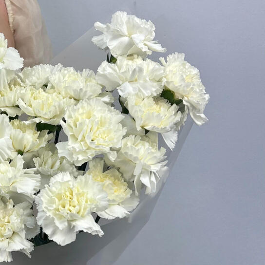 Монобукет №126, 45 белых диантусов