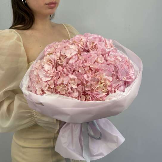 Монобукет №116, Гортензии розовые 5шт