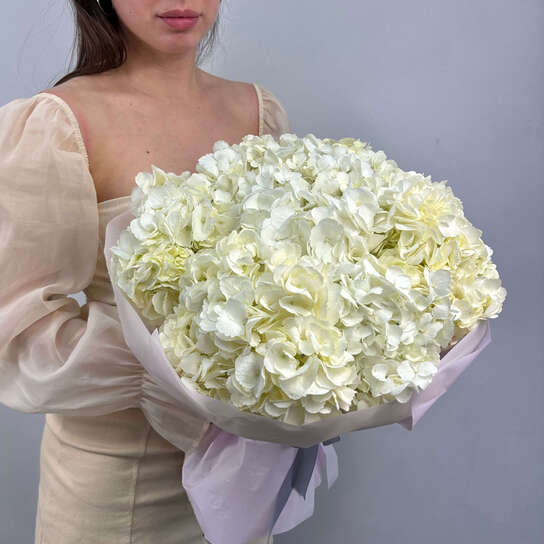 Монобукет №129, Гортензия белая 7шт