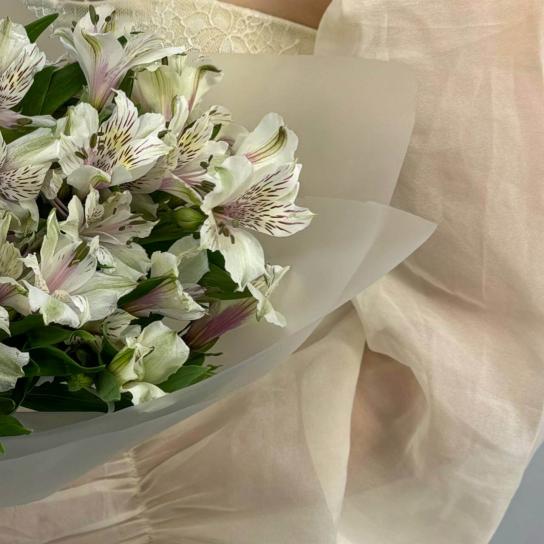 Монобукет №119, 17 белых альстромерий