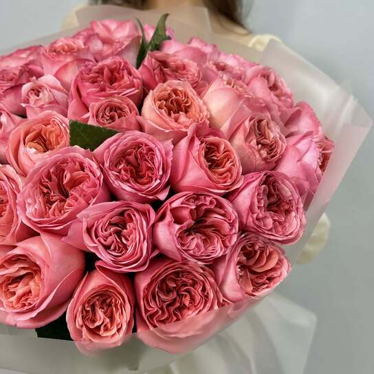 Монобукет №104, 51 пионовидная Роза Pink Expression 55см, Эквадор