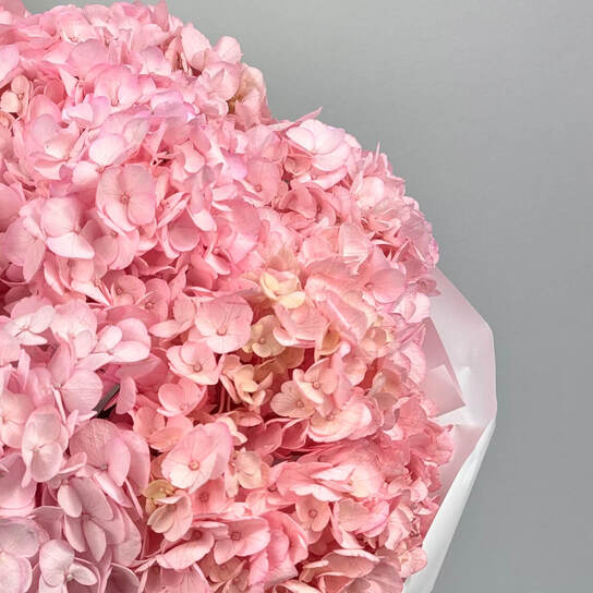 Монобукет №125, Гортензии розовые 7шт