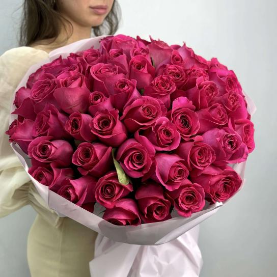 Монобукет №103, 51 малиновая Роза Pink Floyd 55см, Эквадор