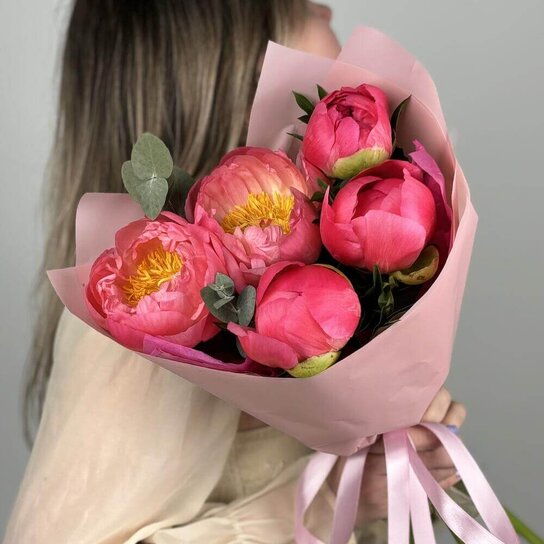 Монобукет №265 Пионы Coral Charm 5шт