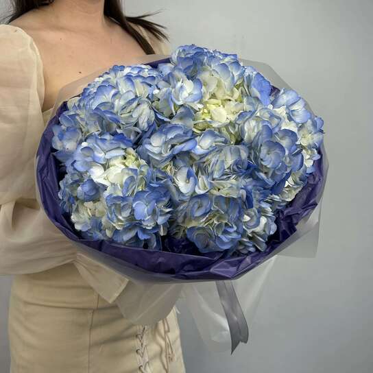 Монобукет №114, Гортензии голубые 5шт