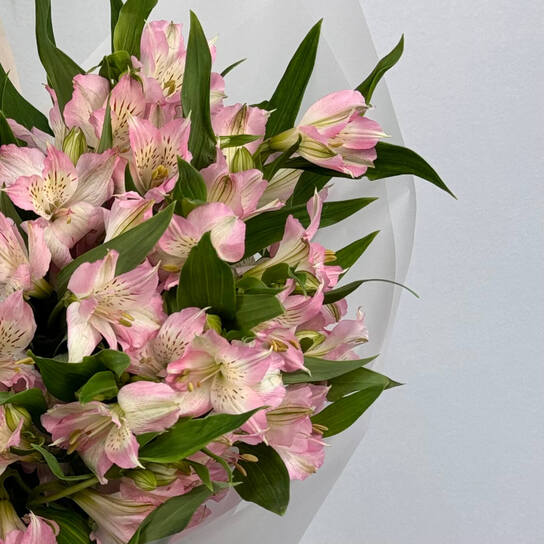 Монобукет №120, 17 розовых альстромерий