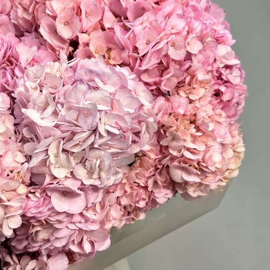 Монобукет №110, Гортензия розовая 15шт