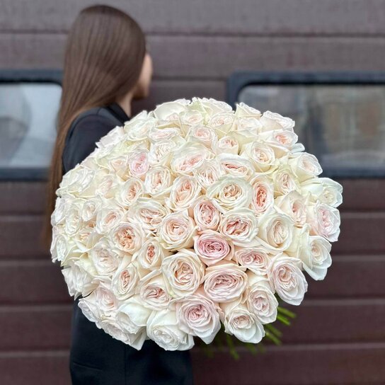 Монобукет №163 из 75 белых крупных роз Эквадор