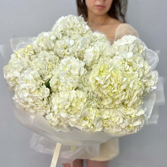 Монобукет №109, Гортензия белая 15 шт