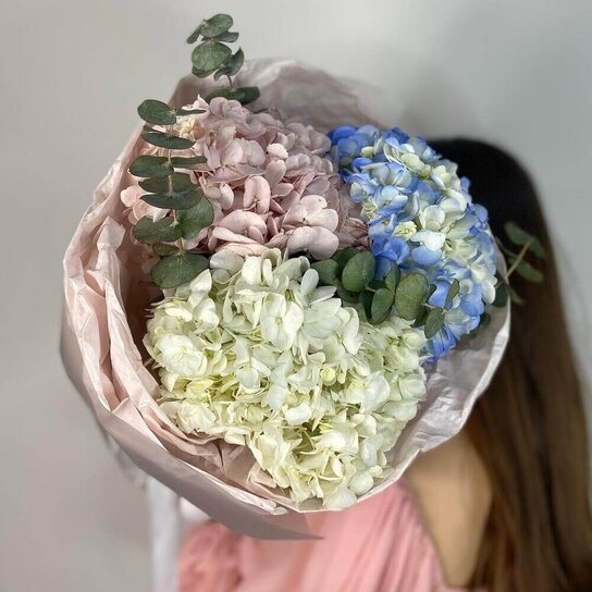 Монобукет №268 Гортензии