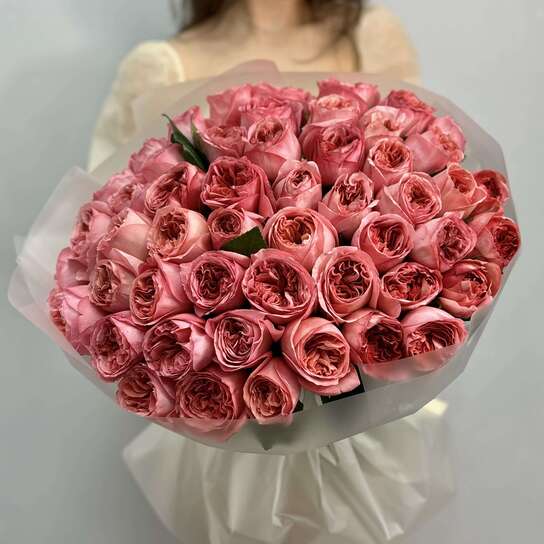 Монобукет №104, 51 пионовидная Роза Pink Expression 55см, Эквадор