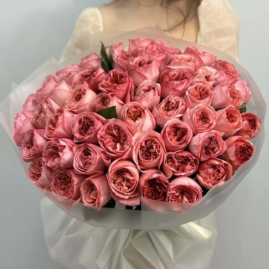 Монобукет №104, 51 пионовидная Роза Pink Expression 55см, Эквадор