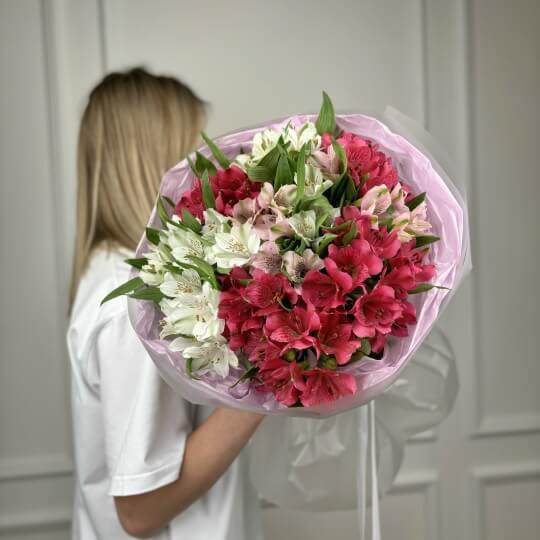 Монобукет №138, 21 яркая альстромерия