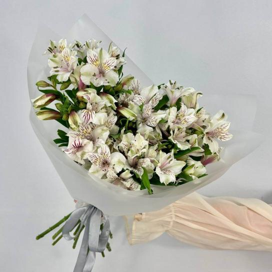 Монобукет №119, 17 белых альстромерий