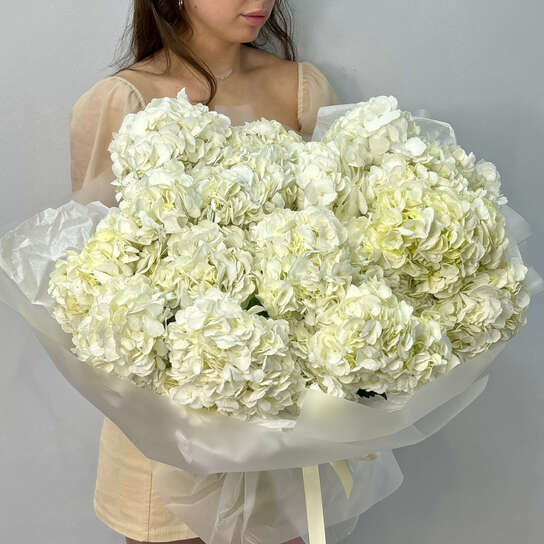 Монобукет №109, Гортензия белая 15 шт