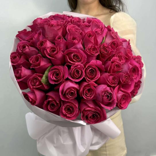 Монобукет №103, 51 малиновая Роза Pink Floyd 55см, Эквадор