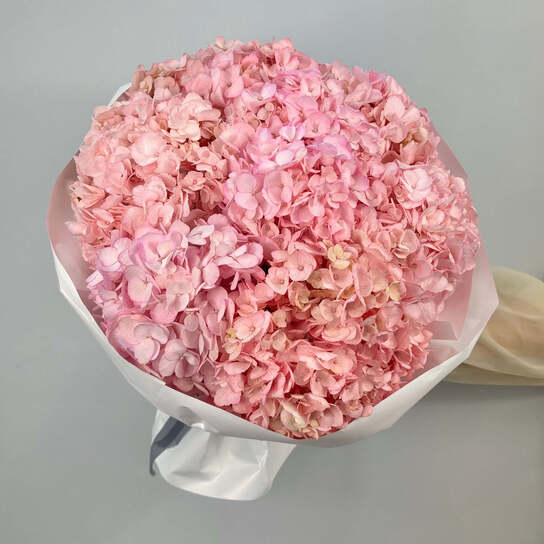Монобукет №125, Гортензии розовые 7шт