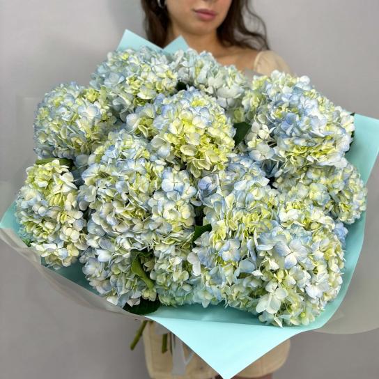 Монобукет №108, Гортензия голубая 15 шт