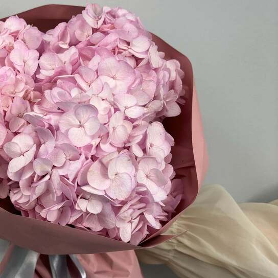 Монобукет №113, Гортензии розовые 3шт