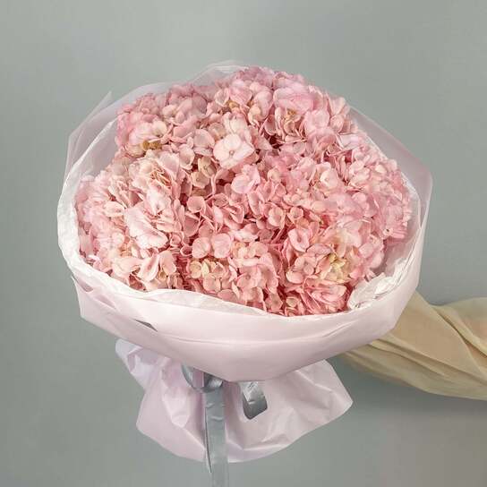 Монобукет №116, Гортензии розовые 5шт