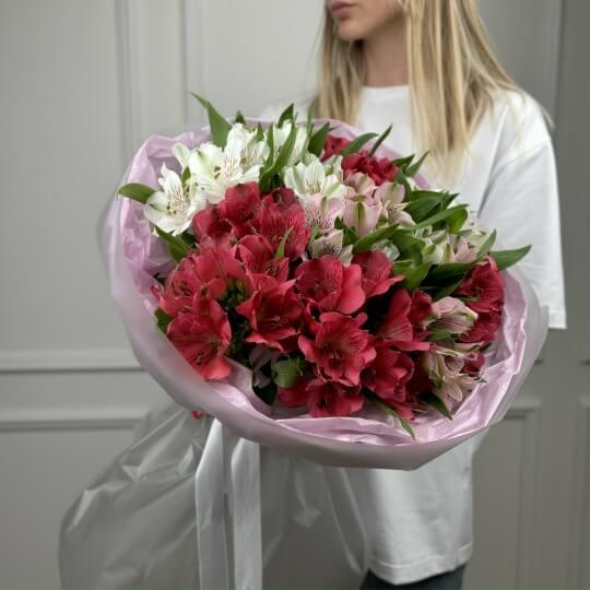 Монобукет №138, 21 яркая альстромерия