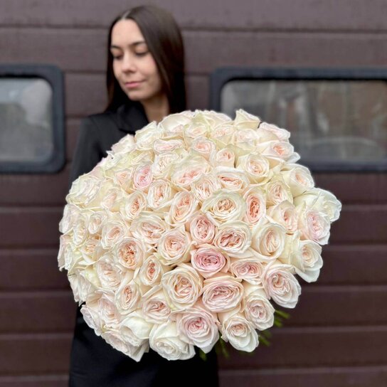 Монобукет №163 из 75 белых крупных роз Эквадор Фото 4