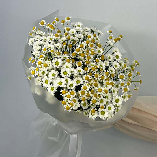Авторский букет №120 с матрикариями и сантини