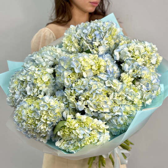 Монобукет №108, Гортензия голубая 15 шт