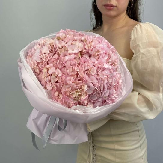 Монобукет №116, Гортензии розовые 5шт