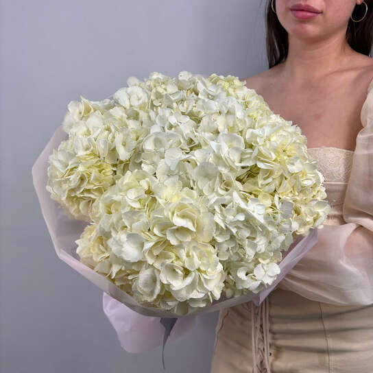 Монобукет №129, Гортензия белая 7шт