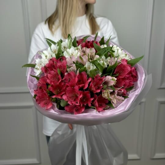 Монобукет №138, 21 яркая альстромерия