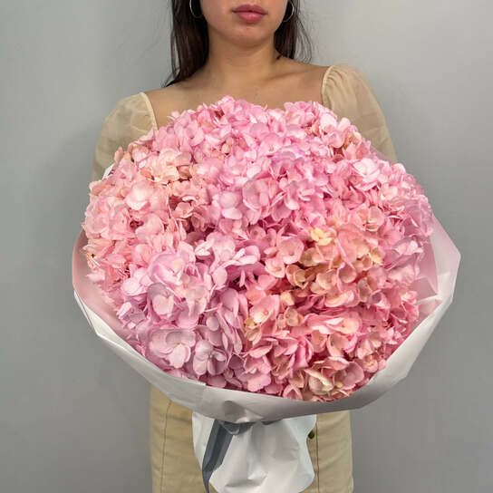 Монобукет №125, Гортензии розовые 7шт