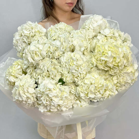 Монобукет №109, Гортензия белая 15 шт