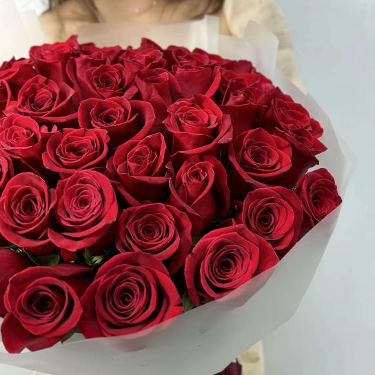 Монобукет №101, 51 красная роза 55см, Эквадор
