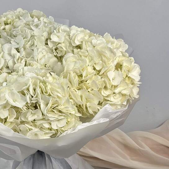 Монобукет №115, Гортензии белые 5шт