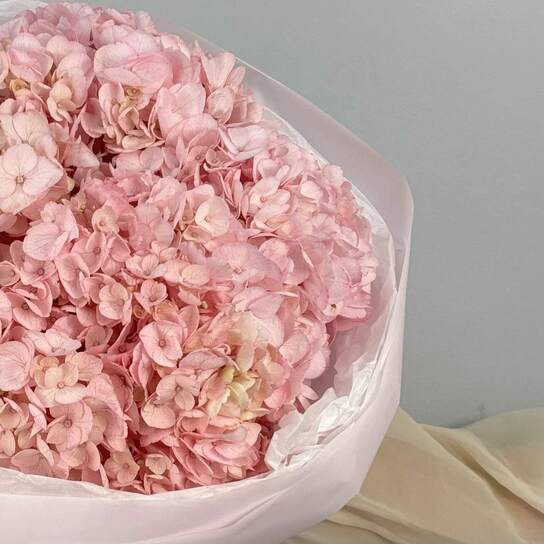 Монобукет №116, Гортензии розовые 5шт