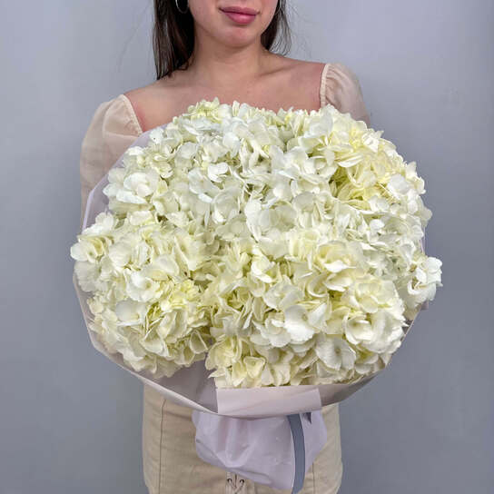 Монобукет №129, Гортензия белая 7шт