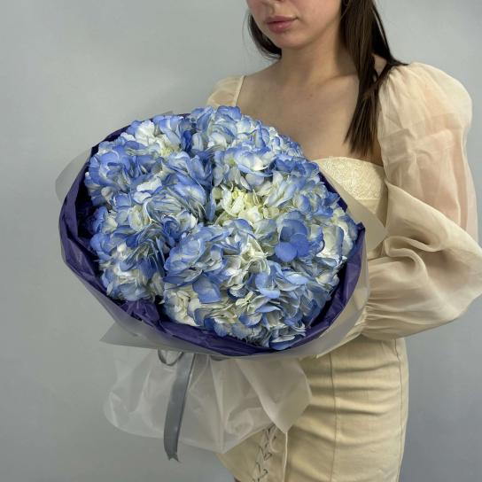 Монобукет №114, Гортензии голубые 5шт