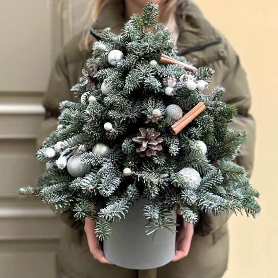 Композиция №140 "Ёлочка" в шляпной коробке из нобилиса, корицы и  игрушек Фото 2