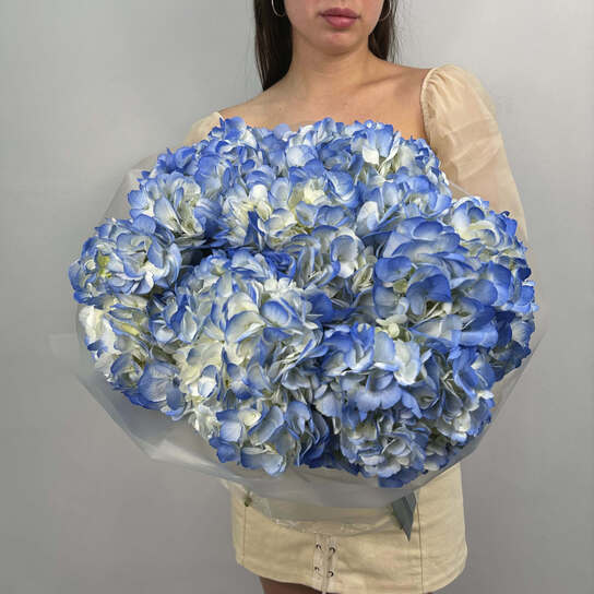 Монобукет №128, Гортензии голубые 7шт